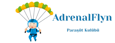 AdrenalFlyn logo